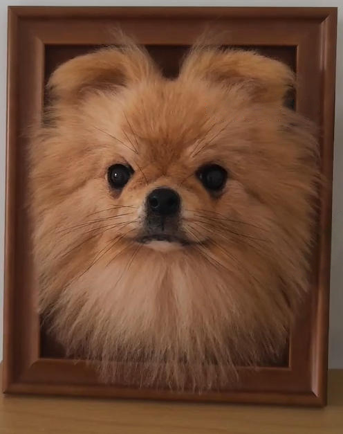 Custom Needle-Felted Dog